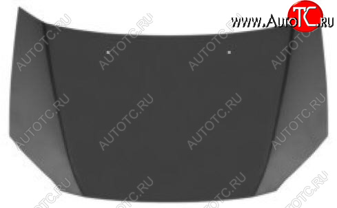 14 399 р. Капот (Тайвань) BodyParts Hyundai Getz TB хэтчбэк 5 дв. дорестайлинг (2002-2005) (Неокрашенный)  с доставкой в г. Белгород
