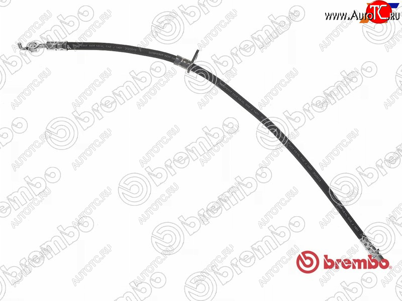2 669 р. Шланг тормозной передний LH=RH BREMBO Toyota Camry XV30 дорестайлинг (2001-2004)  с доставкой в г. Белгород