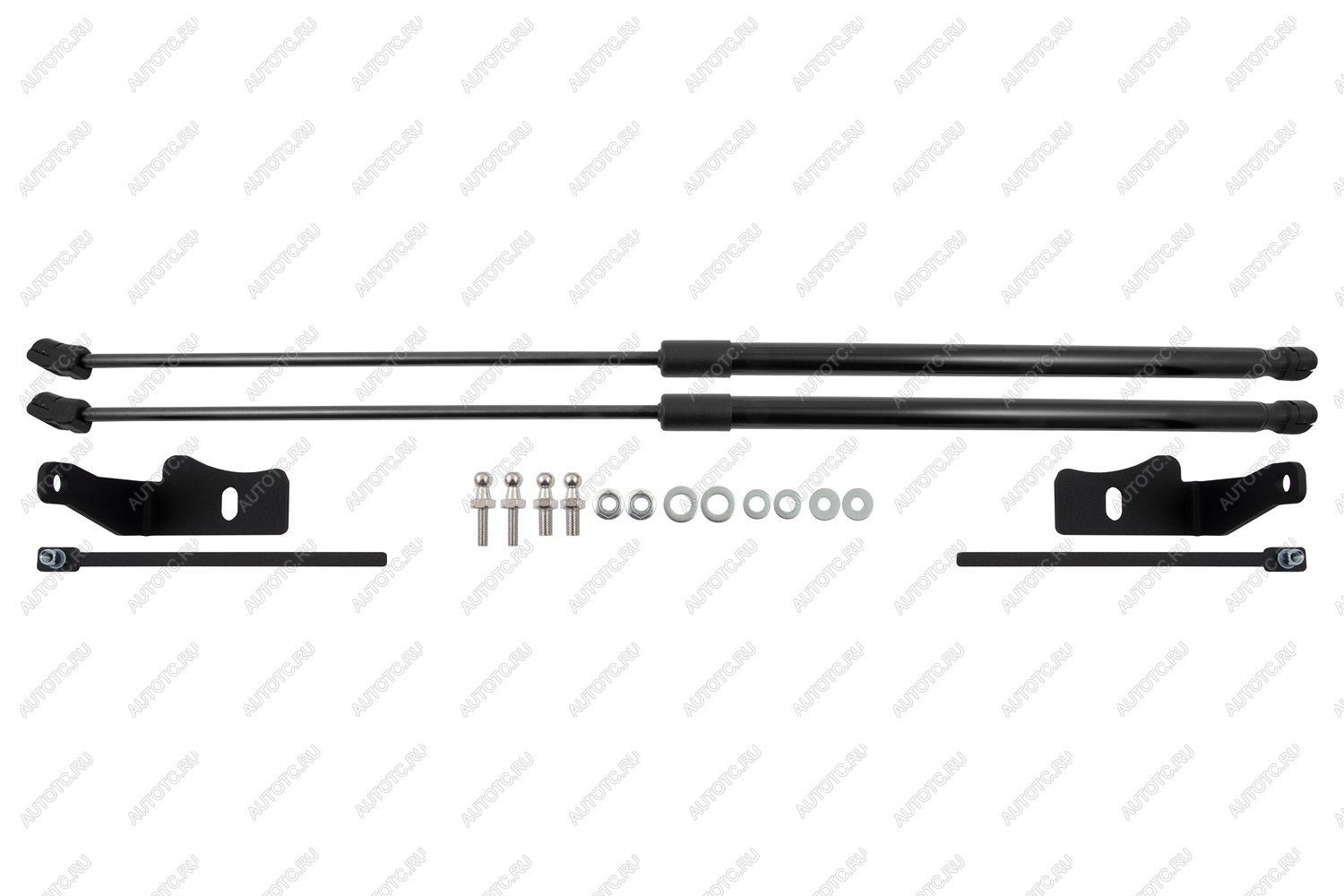 4 899 р. Амортизаторы капота для DongFeng Glorу 600, 2024-, к-т 2 шт  ДонгФенг Глори 600 EASYLIFT easylift 076.102  с доставкой в г. Белгород