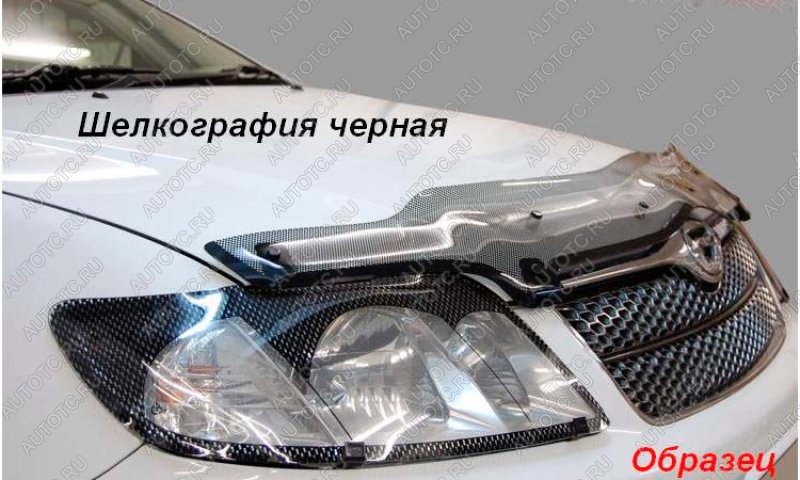 2 299 р.  Дефлектор капота (к. Custom) CA-Plastiс  Mitsubishi Delica D:2  2 (2015-2025) (серия Шелкография черная)  с доставкой в г. Белгород