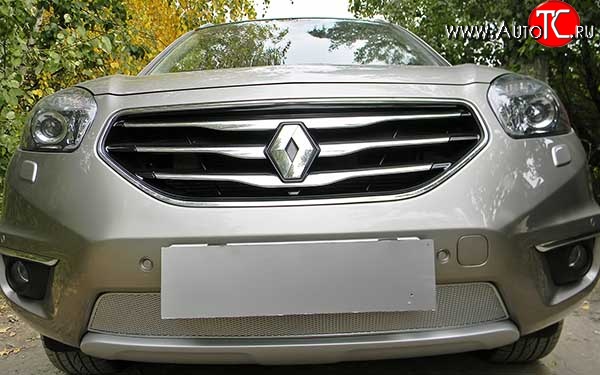 2 079 р. Сетка в бампер Autofamily (15 мм.) Renault Koleos 1 Phase 2 (2011-2013) (Хром)  с доставкой в г. Белгород