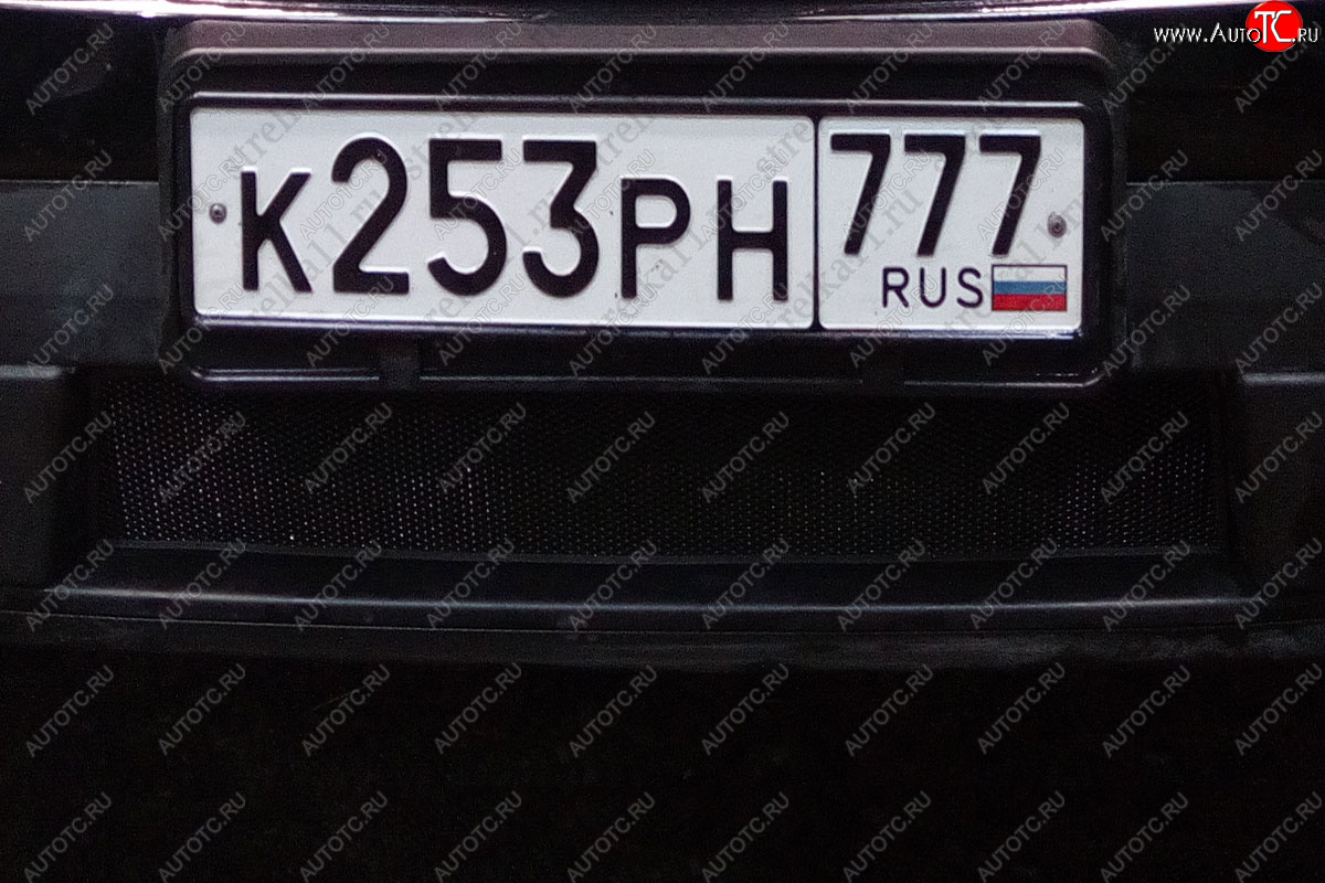 2 899 р. Защитная сетка радиатора в бампер (ячейка 3х7 мм, комплект) Стрелка 11 Стандарт Ford Explorer U502 дорестайлинг (2010-2016) (черная)  с доставкой в г. Белгород