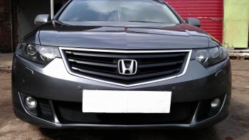 Защитная сетка радиатора в бампер (ячейка 3х7 мм) Стрелка11 Стандарт Honda Accord 8 CU седан дорестайлинг (2008-2011)