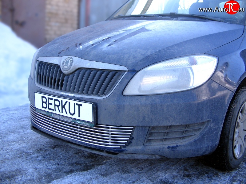 5 899 р. Декоративная вставка воздухозаборника Berkut Skoda Fabia Mk2 универсал дорестайлинг (2007-2010)  с доставкой в г. Белгород