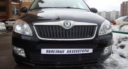1 469 р. Сетка на бампер (рестайлинг) Russtal (черная) Skoda Fabia Mk2 универсал дорестайлинг (2007-2010)  с доставкой в г. Белгород. Увеличить фотографию 3