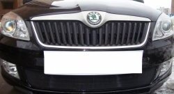 1 469 р. Сетка на бампер (рестайлинг) Russtal (черная) Skoda Fabia Mk2 универсал дорестайлинг (2007-2010)  с доставкой в г. Белгород. Увеличить фотографию 4