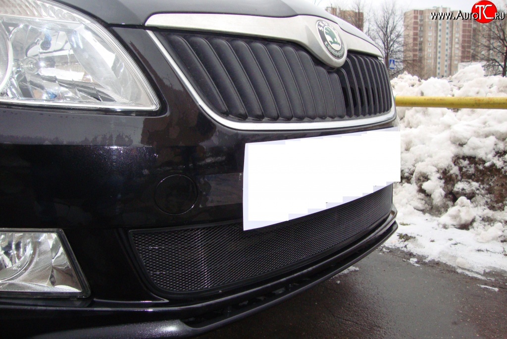 1 469 р. Сетка на бампер (рестайлинг) Russtal (черная) Skoda Fabia Mk2 универсал дорестайлинг (2007-2010)  с доставкой в г. Белгород