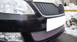 1 539 р. Сетка на бампер (рестайлинг) Russtal (хром) Skoda Fabia Mk2 хэтчбэк дорестайлинг (2007-2010)  с доставкой в г. Белгород. Увеличить фотографию 3