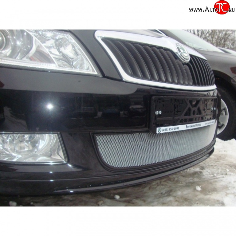 1 539 р. Сетка на бампер (рестайлинг) Russtal (хром) Skoda Fabia Mk2 хэтчбэк дорестайлинг (2007-2010)  с доставкой в г. Белгород