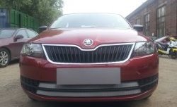 2 399 р. Сетка на бампер Russtal (хром) Skoda Rapid NH3 дорестайлинг лифтбэк (2012-2017)  с доставкой в г. Белгород. Увеличить фотографию 2