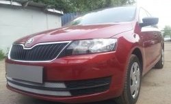 2 399 р. Сетка на бампер Russtal (хром) Skoda Rapid NH3 дорестайлинг лифтбэк (2012-2017)  с доставкой в г. Белгород. Увеличить фотографию 4