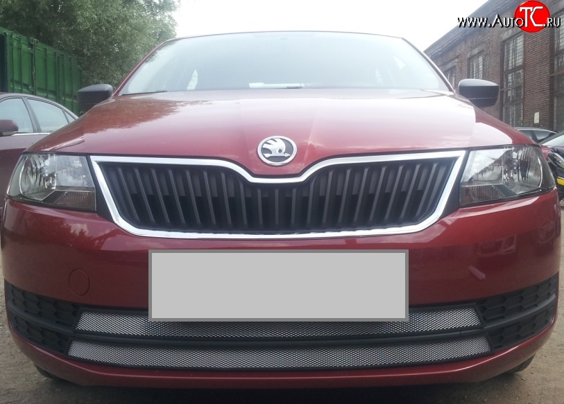2 399 р. Сетка на бампер Russtal (хром) Skoda Rapid NH3 дорестайлинг лифтбэк (2012-2017)  с доставкой в г. Белгород
