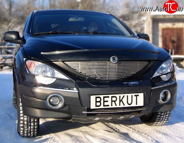 5 999 р. Декоративная вставка решетки радиатора Berkut SSANGYONG Actyon Sport (2006-2011)  с доставкой в г. Белгород