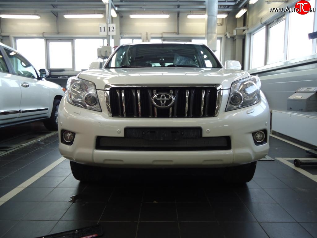 1 539 р. Сетка на бампер Russtal (хром) Toyota Land Cruiser Prado J150 дорестайлинг (2009-2013)  с доставкой в г. Белгород
