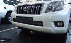 1 539 р. Сетка на бампер Russtal (хром) Toyota Land Cruiser Prado J150 дорестайлинг (2009-2013)  с доставкой в г. Белгород. Увеличить фотографию 2