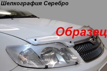 Шелкография серебро 2070р Шелкография серебро 2070р