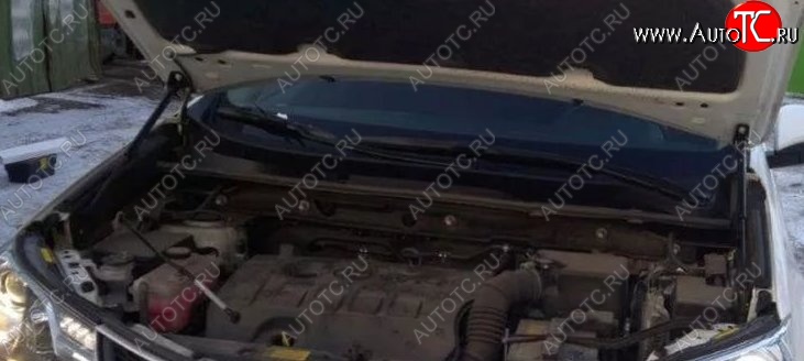 2 199 р. Газовые упоры капота Berkut Toyota RAV4 XA40 5 дв. рестайлинг (2015-2019)  с доставкой в г. Белгород