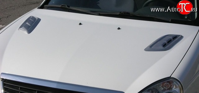 2 849 р. Накладки на капот Style v4 Renault Twingo 2 дорестайлинг (2007-2011) (Неокрашенные)  с доставкой в г. Белгород