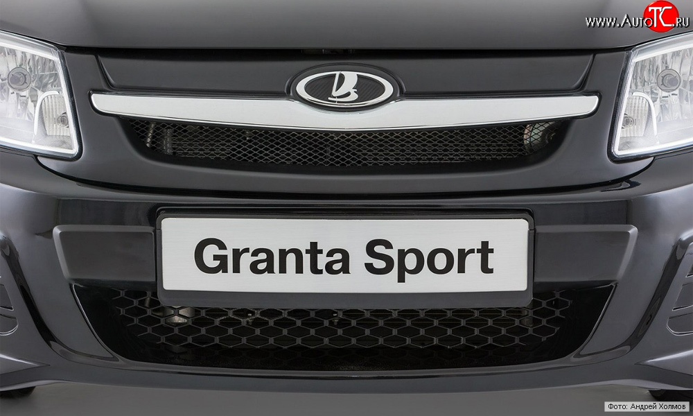 1 939 р. Решётка радиатора Granta Sport ВИС 2349 бортовой грузовик дорестайлинг (2012-2018) (Неокрашенная)  с доставкой в г. Белгород