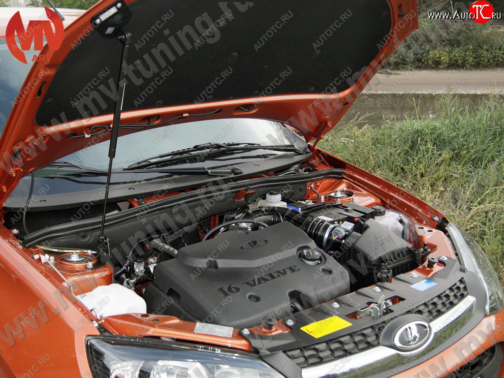 1 799 р. Упор капота MV-Tuning (одинарный; без кронштейна) Лада Гранта 1 2191 лифтбэк дорестайлинг  (2011-2013)  с доставкой в г. Белгород