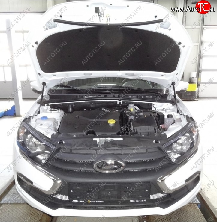 2 299 р. Упоры капота Russtal ВИС 2349 бортовой грузовик рестайлинг (2018-2025)  с доставкой в г. Белгород