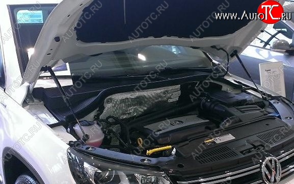 2 199 р. Газовый упор капота Berkut Volkswagen Tiguan NF дорестайлинг (2006-2011)  с доставкой в г. Белгород