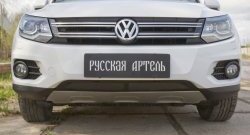 1 949 р. Защитная сетка решетки переднего бампера (Track & Field) РА Volkswagen Tiguan NF рестайлинг (2011-2017)  с доставкой в г. Белгород. Увеличить фотографию 2