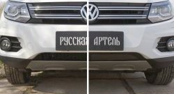 1 949 р. Защитная сетка решетки переднего бампера (Track & Field) РА Volkswagen Tiguan NF рестайлинг (2011-2017)  с доставкой в г. Белгород. Увеличить фотографию 4